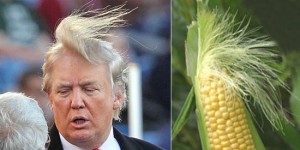 38 Hilarious Things That Look Just Like Donald Trump’s Magical Hair